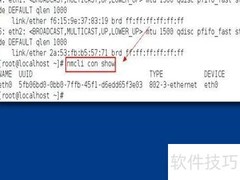 Linux配置IPv4地址方法
