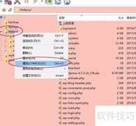 解决网站500错误