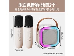 萨勒芬妮无线K歌麦克风