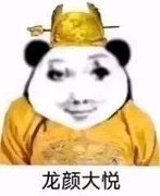 烟雨江湖洪芝仙打法攻略