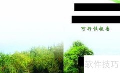 客户满意的可行性报告要点