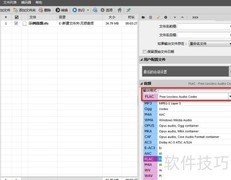 DTS转立体声最佳方案