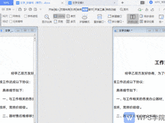 文本并排比较使用指南