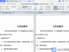 文本并排比较使用指南