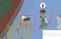 无名之鹅通关秘籍