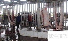 猪肉收购指南