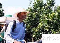 农业研究院运作模式解析