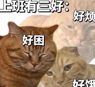 万象物语：幻境极限挑战攻略