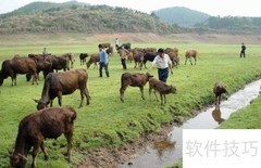 畜牧养殖业主要缴哪些税