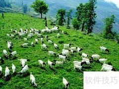 畜牧行业分析：下篇