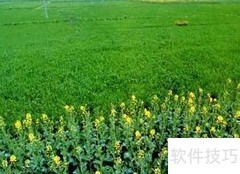 畜牧行业分析：下篇