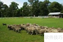 畜牧行业分析：下篇