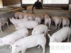 畜牧行业分析：中篇