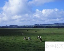 畜牧行业分析：中篇