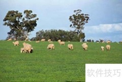 畜牧行业分析：上篇