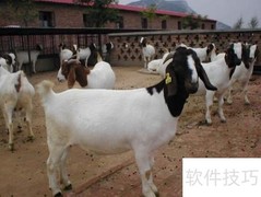 畜牧行业分析：上篇