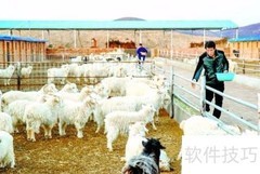 一批一码助力畜牧销售追踪