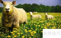 一批一码助力畜牧销售追踪