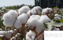 农业拼音怎么写