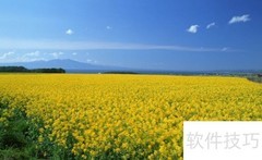 农业拼音怎么写