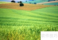 农业APP功能开发指南