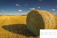 农业APP功能开发指南