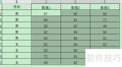 Excel文本格式设置技巧