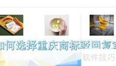 重庆商标驳回复审指南