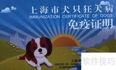 上海犬证办理指南