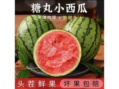 正宗河南2k小糖丸西瓜，现摘直发，9.9元带回家！
