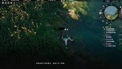 下一站江湖Ⅱ落水奇遇攻略