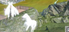 妄想山海丁级坐骑图鉴