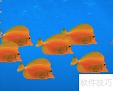 WinServer 2003启用Protected Storage