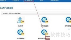 金万维NAT移动版安装指南