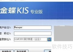 KIS工资表项目设置指南
