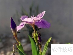 荣耀7a玩法全攻略