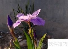 荣耀7a玩法全攻略