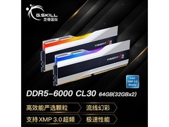 G.SKILL幻锋戟DDR5 6000内存64GB