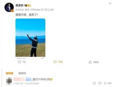 华为高管赛里木湖打卡引热议，网友妙评你没白活