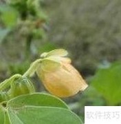 生活健康小常识4