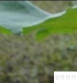 生活健康小常识4