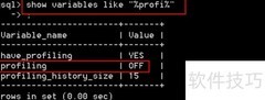 掌握Profile工具高效使用技巧