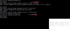 Oracle集群数据库管理