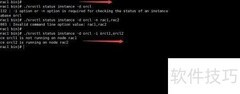 Oracle集群数据库管理