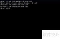 Oracle集群数据库管理