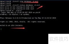 Oracle集群数据库管理
