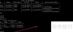 PostgreSQL数据表管理指南