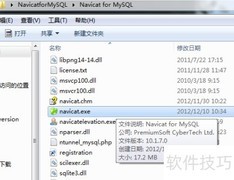 Navicat数据库管理指南