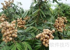 厦门特产有哪些？