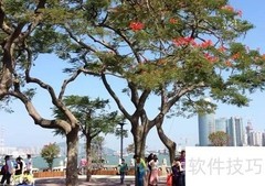 厦门必游景点推荐